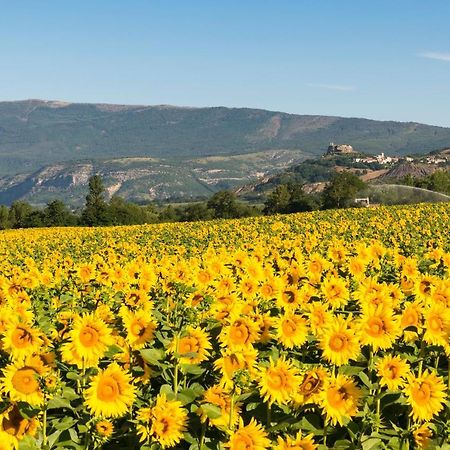 Serre Des Ormes - Cycling, Walking & Running Retreat Salerans Екстер'єр фото