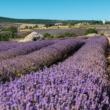 Serre Des Ormes - Cycling, Walking & Running Retreat Salerans Екстер'єр фото