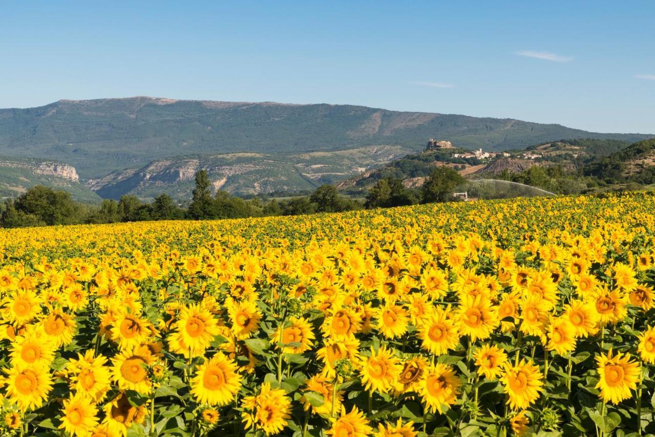 Serre Des Ormes - Cycling, Walking & Running Retreat Salerans Екстер'єр фото